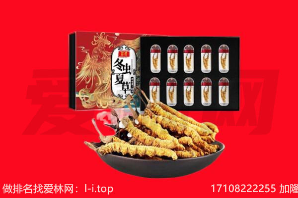 重庆黔江区回收虫草.jpg